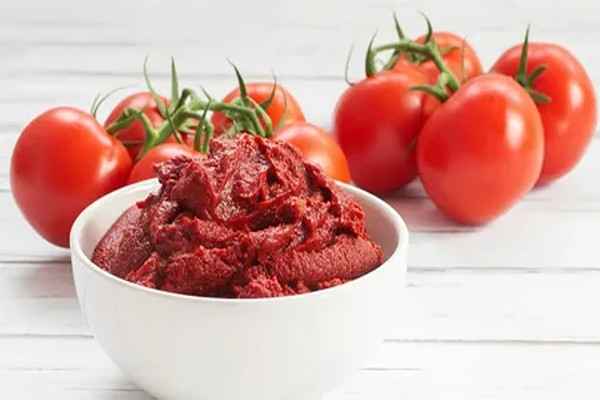 قیمت خرید رب گوجه شیشه ای بدر با فروش عمده